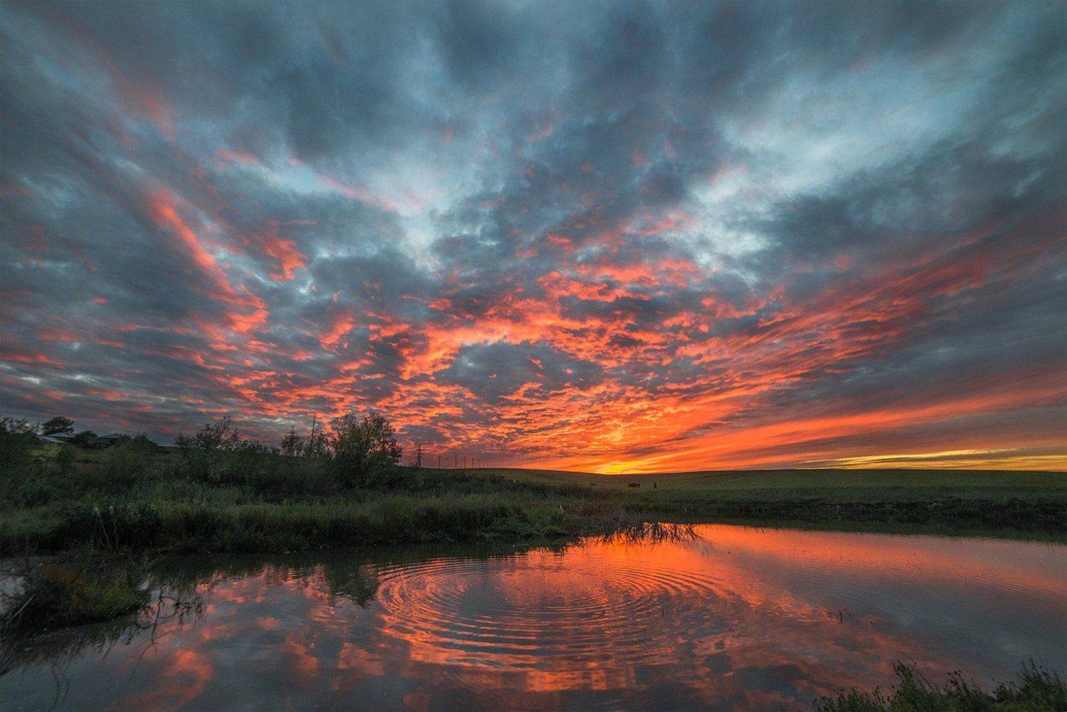 Автор: Стельмах Тарас , Стельмах Тарас