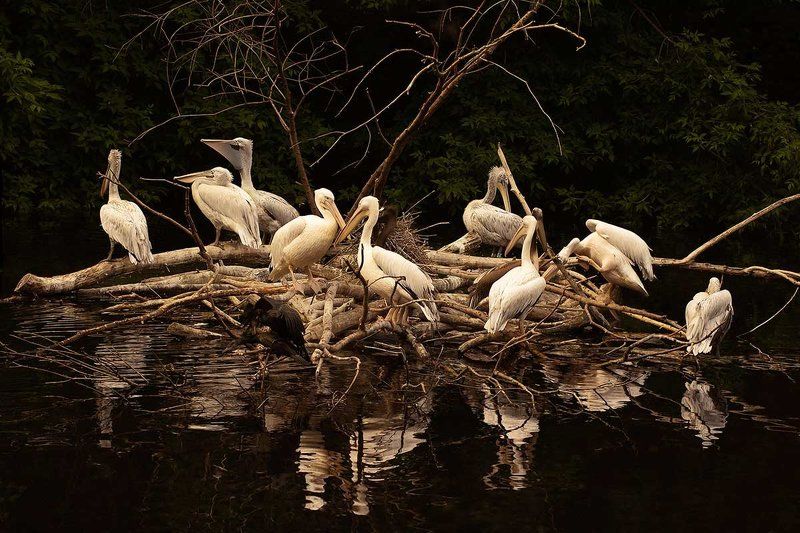 Темные силы не дремлют)photo preview