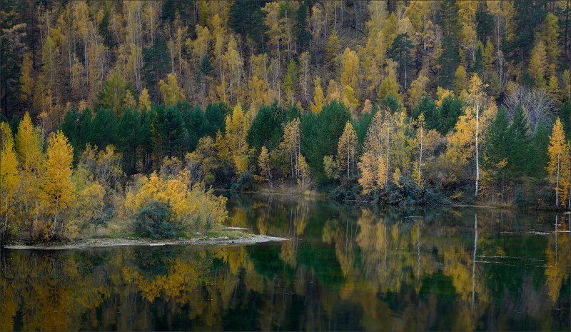 Осенняя тушьphoto preview