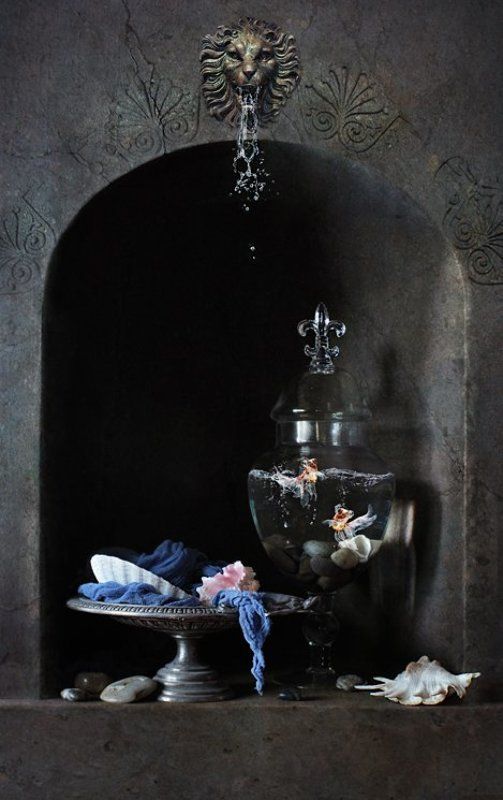 Рыбки и ракушкиphoto preview