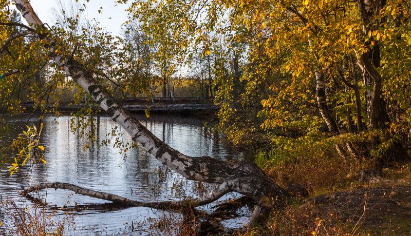 Осеннее настроениеphoto preview