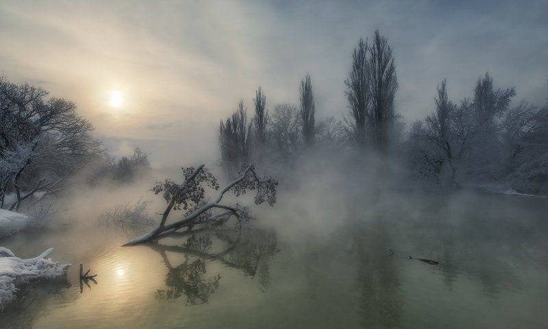 ФЁДОР, Russia