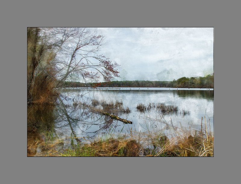 Autumn moodphoto preview