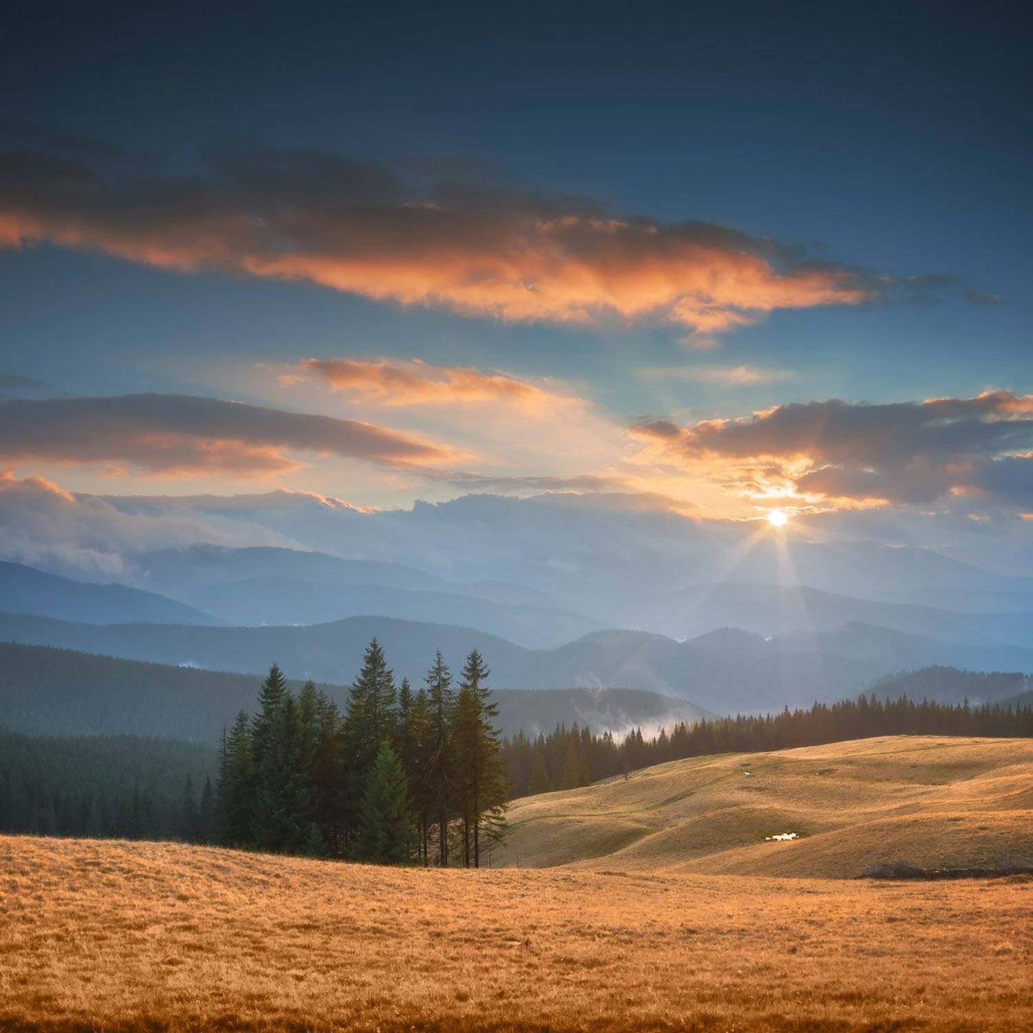 , Виталий Башкатов