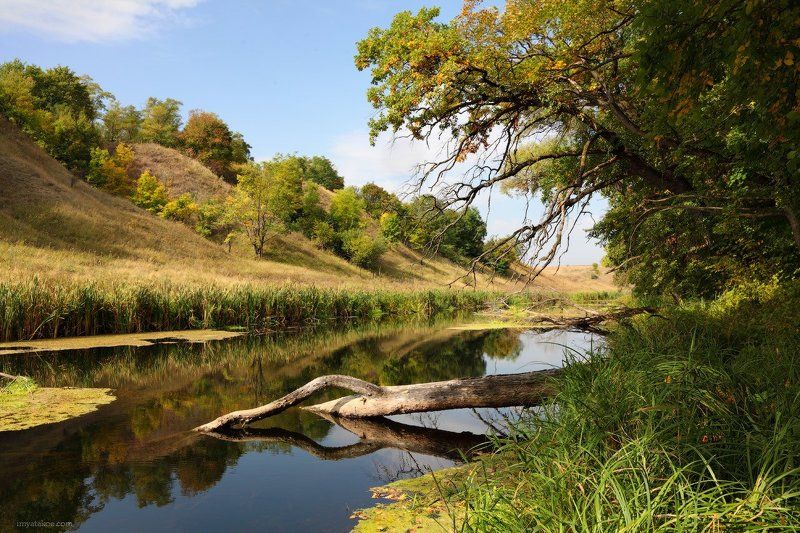 Ностальгия по летуphoto preview