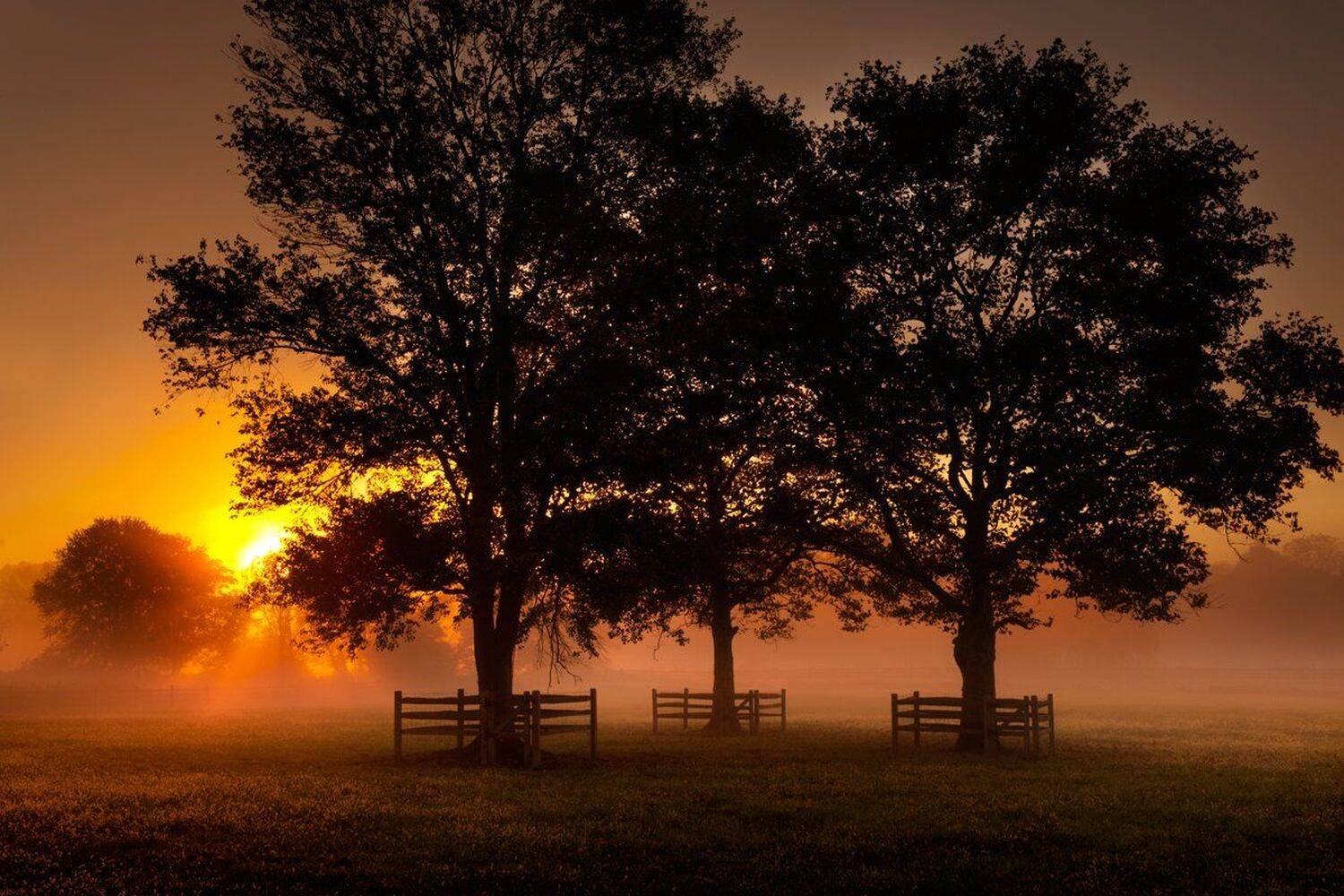 Fog in the Valley. Автор: Donald Reese , Donald Reese