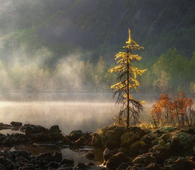 Сентябрьским солнцем согретая…photo preview