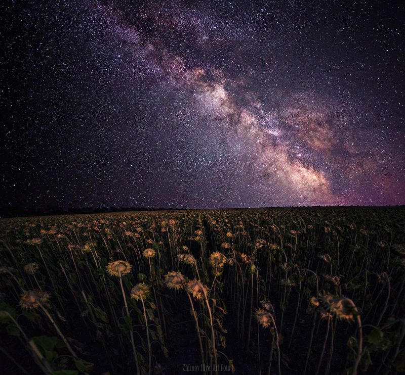 Forgotten, Milky way, Night landscape, Night sky, Stars, Забытый, Звезды, Млечный путь, Ночное небо, Ночной пейзаж Подсолнухиphoto preview