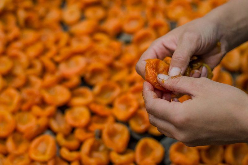 Apricotlandphoto preview