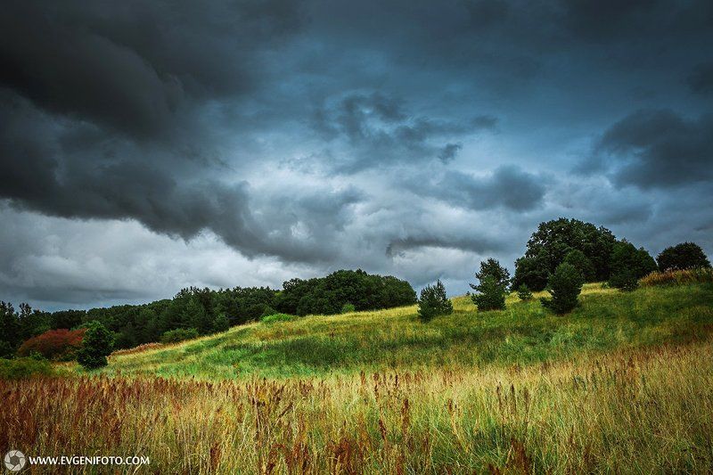 пейзаж,природа,landscape,nature Перед дождёмphoto preview