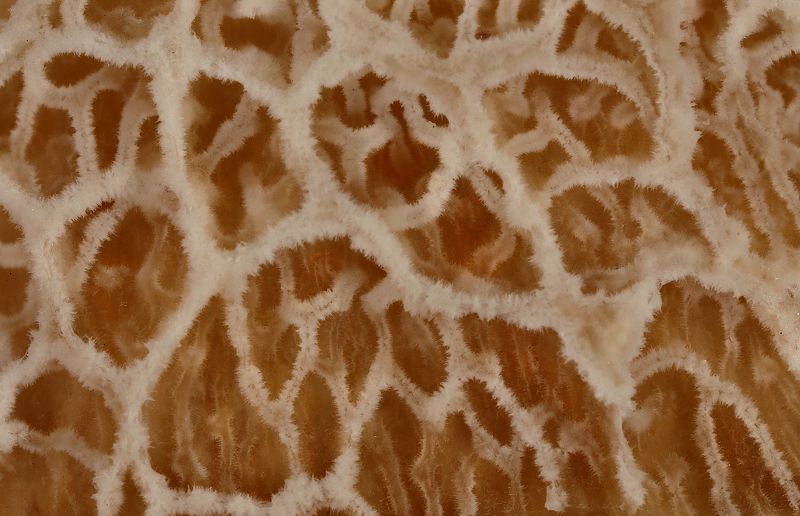 puzzle, загадка Puzzle фото превью