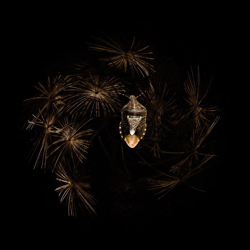 creative, креатив, манипуляция, гранж, концепция, одиночество, темнота, тьма, мрак, grunge, darkness, loneliness Один во тьме...photo preview