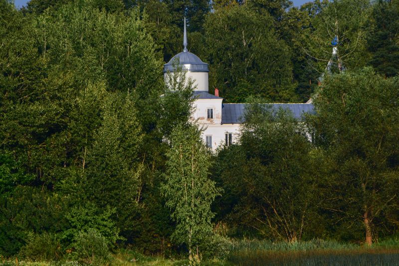 Вид на берег Волги с теплоходаphoto preview