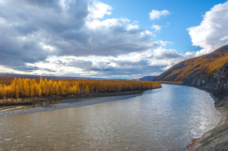 Нерские прижимыphoto preview