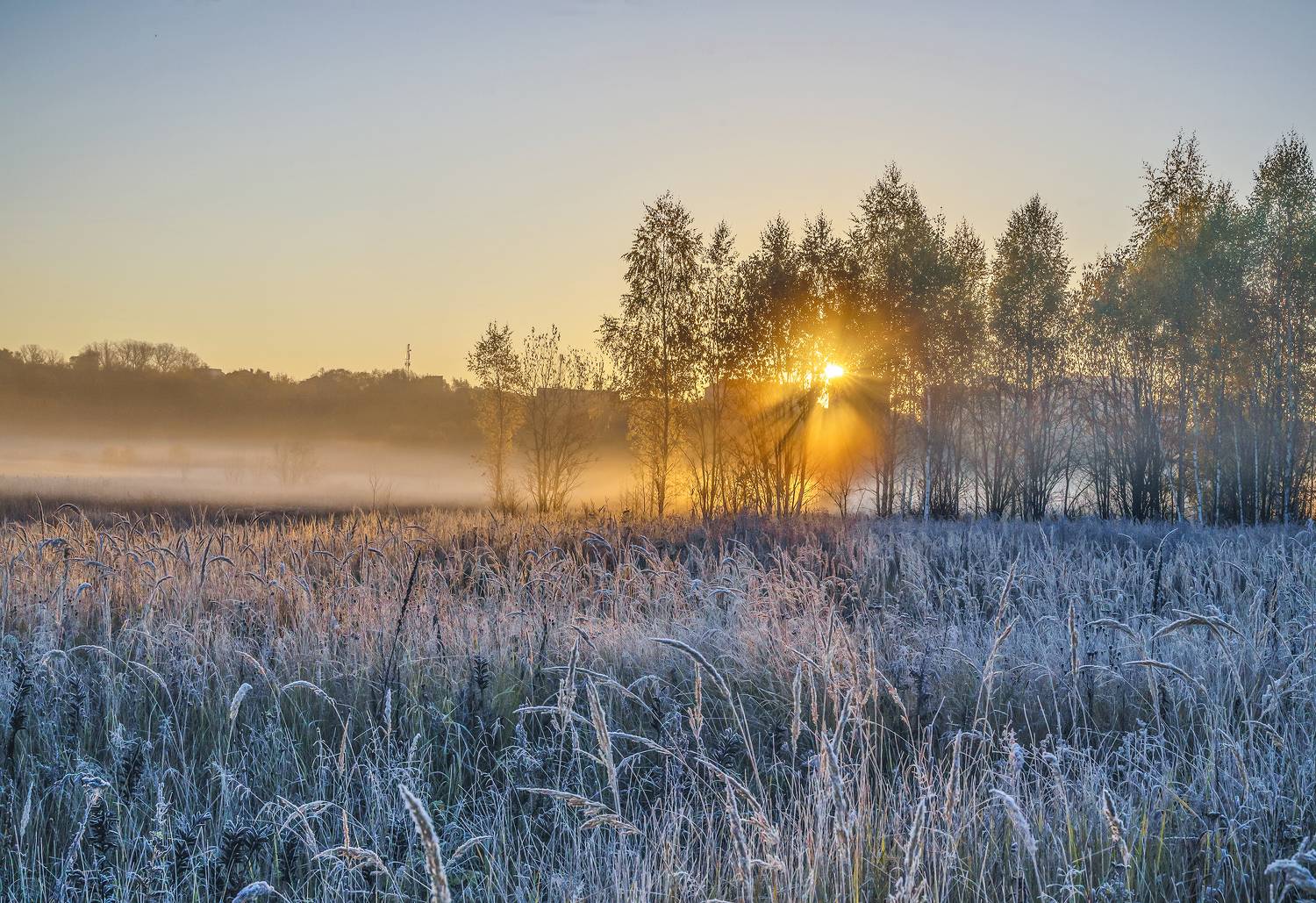 новый иерусалим, Бирюков Вячеслав