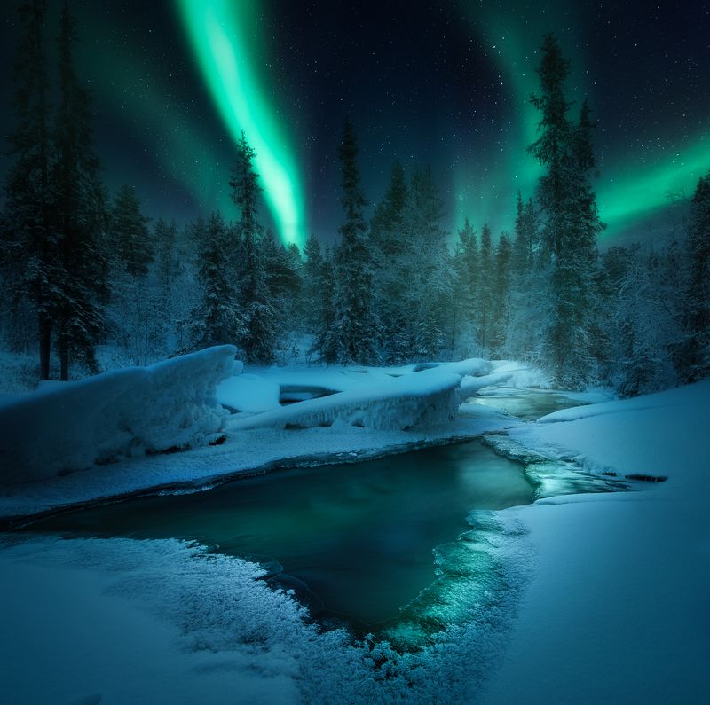 кольский полуостров, кольский, зима, северное сияние, полярное сияние, winter, snow, kola peninsula,  forest, aurora borealis Magic nightphoto preview