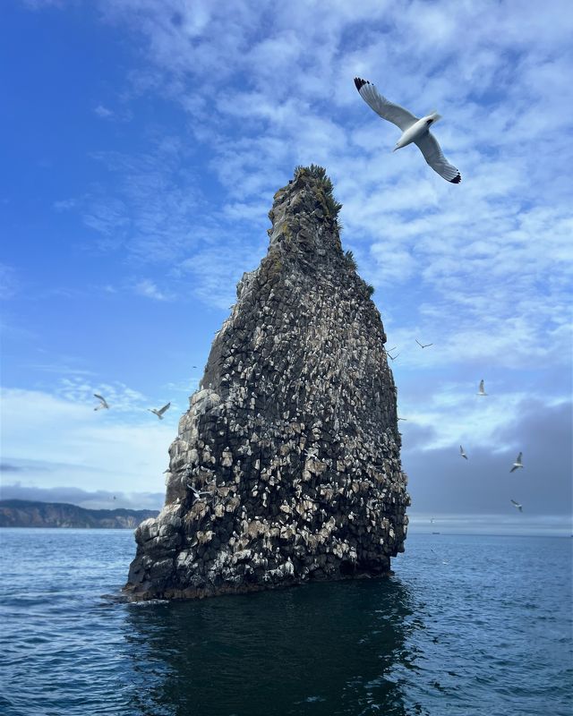 Кекур на побережье Камчаткиphoto preview