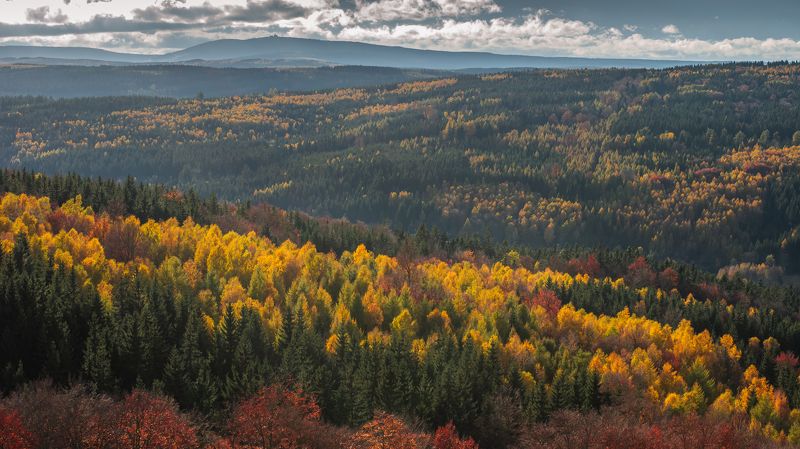 autumn,fall,forest,leaves,sky,colours,czechia,czech Autumn in Czechiaphoto preview