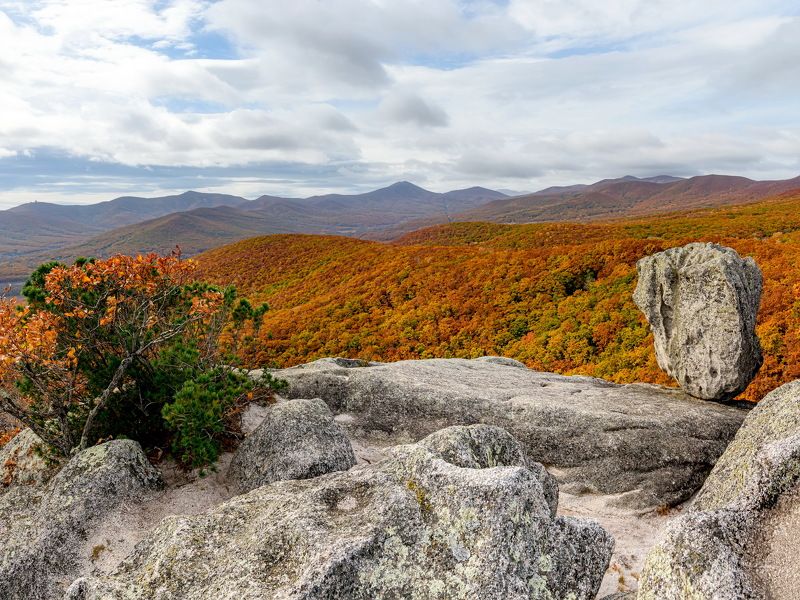 тимофеевка, сихотэ-алинь, самоварка, осень Осенняя \