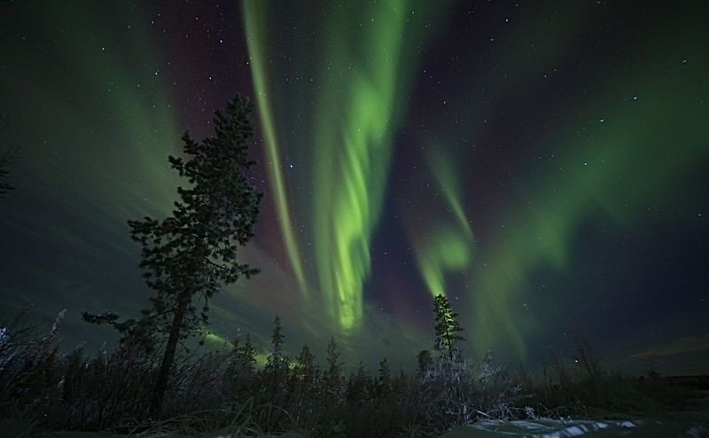 северное сияние, пейзаж, мороз, сосны, водохранилище, природа, север, небо, звезды Буйство красокphoto preview