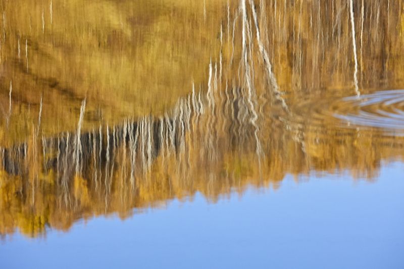 Отражениеphoto preview