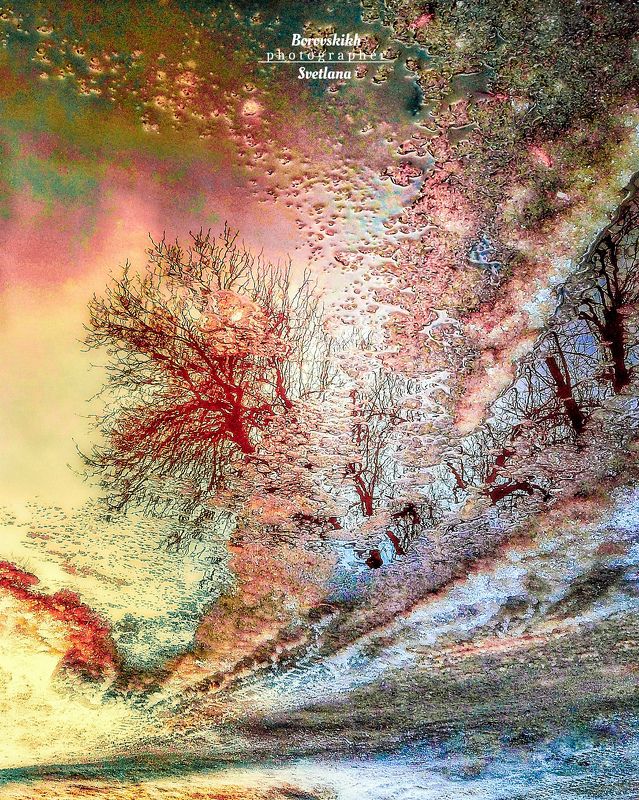 лужа, отражение, отражение в луже, пейзаж, природа, осень Просто \