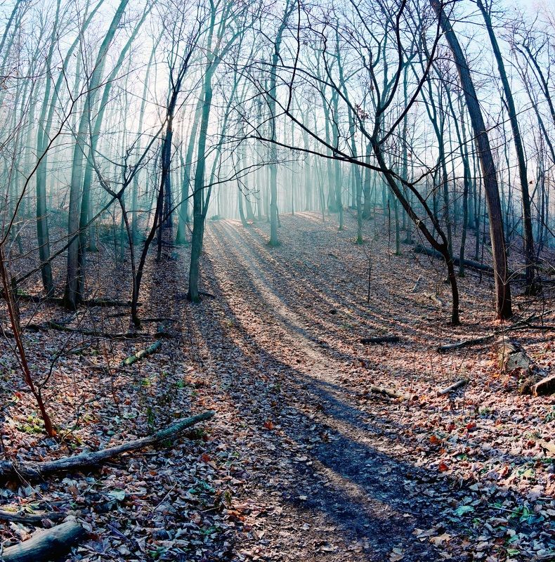 Ноябрьphoto preview