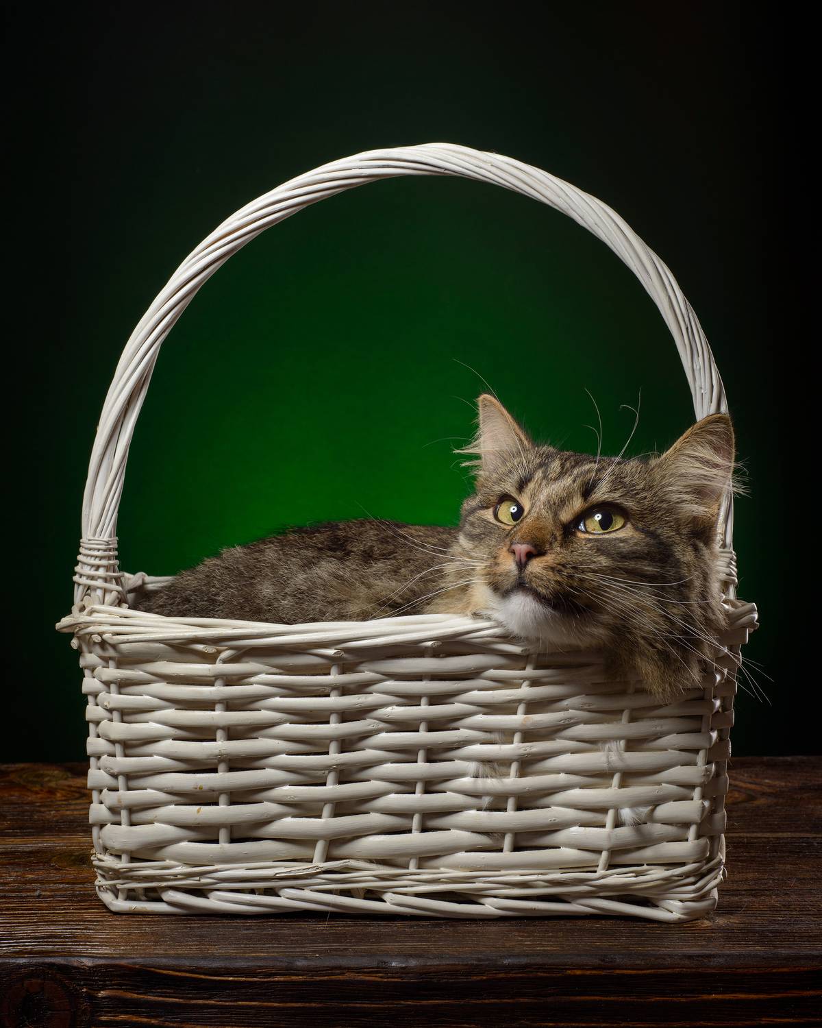 , Сизов Кирилл