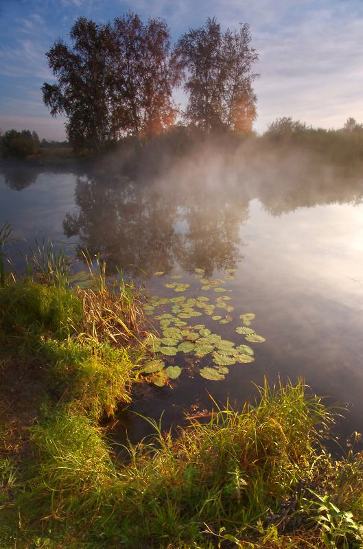 лето, утро, рассвет, озеро, вода, свет В утреннем светеphoto preview