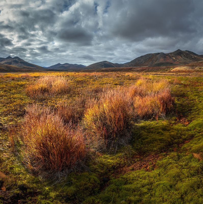 Чукотка 2023photo preview