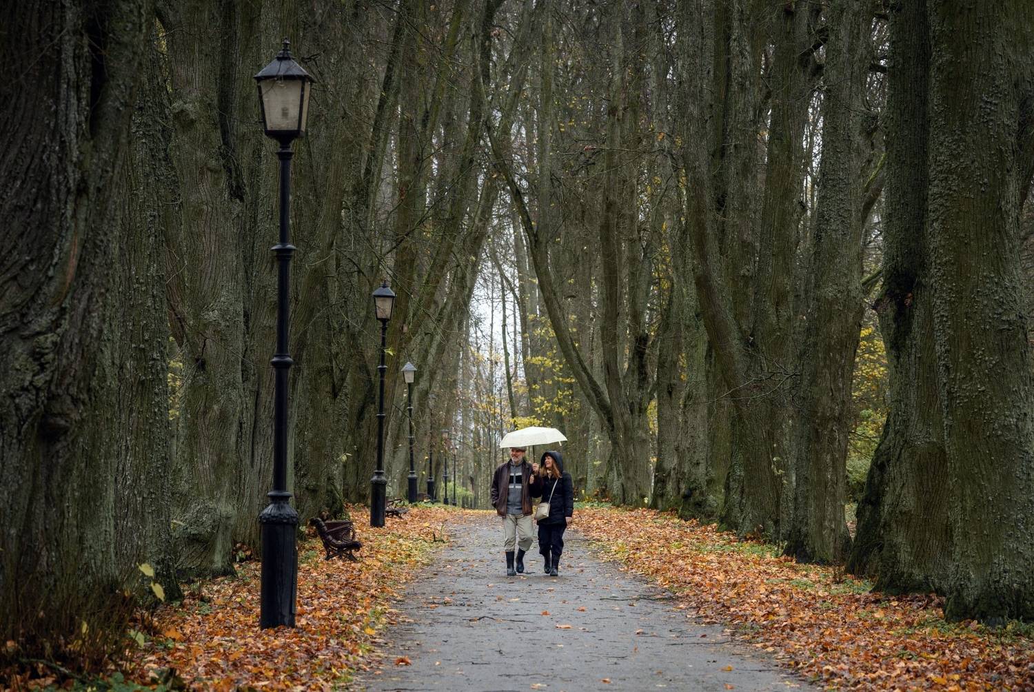 , Никитин Николай