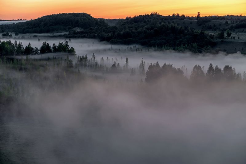 Туманное утроphoto preview