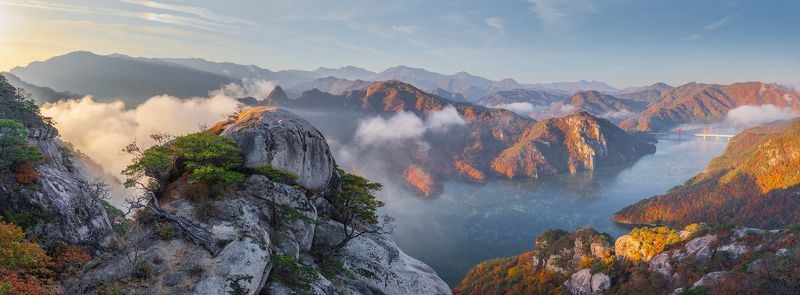 Strength of a nestphoto preview