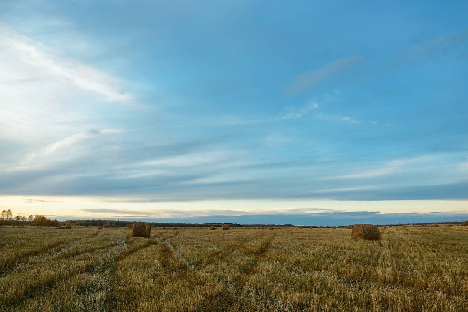 , Сизов Кирилл