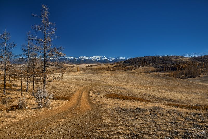 В Курайской степиphoto preview