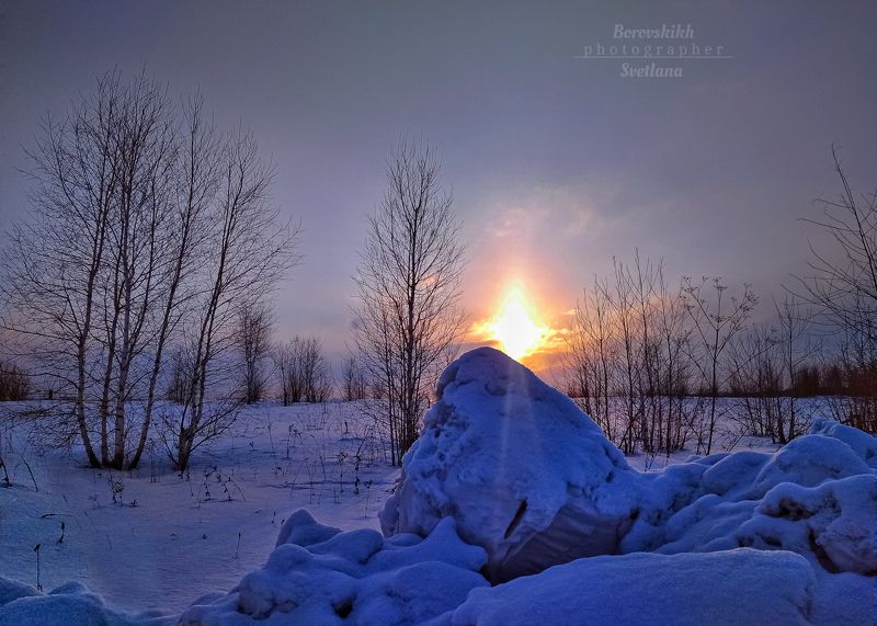 пейзаж, природа, сосны, осень, солнце, закат, снег Западная Сибирь. Закат.photo preview