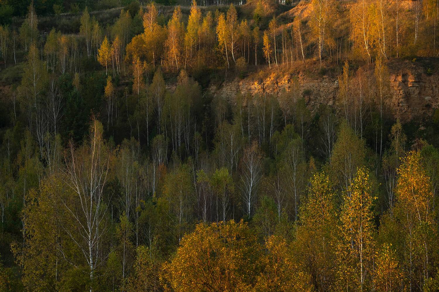 Автор: Стрельцов Виталий , Стрельцов Виталий