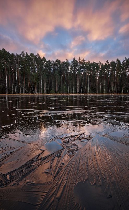 лёд,озеро,осень,мороз,утро,рассвет,фактура,пейзаж,подмосковье первый лёд на лесном озере фото превью