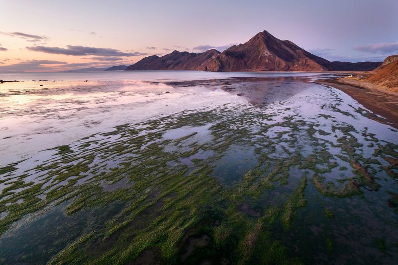 Предрассветный час фото превью