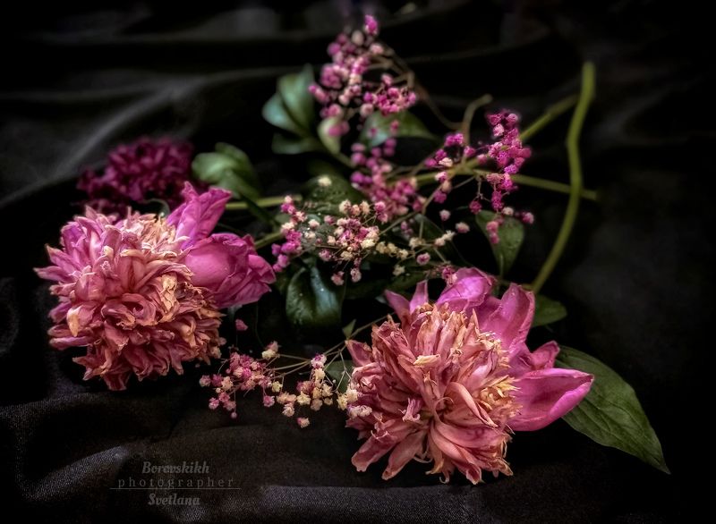 раскладка, флетлей, flatley, низкий ключ, dark photo, цветы, пион, увядание, фото на телефон Пионы... Увяданиеphoto preview