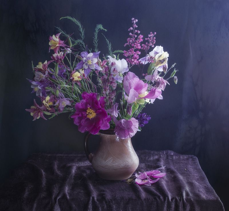 букет,аквиления,свет,цвет,натюрморт,цветы ***photo preview