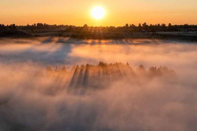 Туманный рассветphoto preview