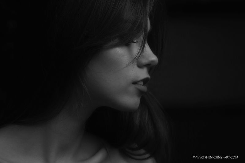 портрет, вечер, свет, силуэт, женский портрет, девушка, монохорм Вечерний силуэтphoto preview