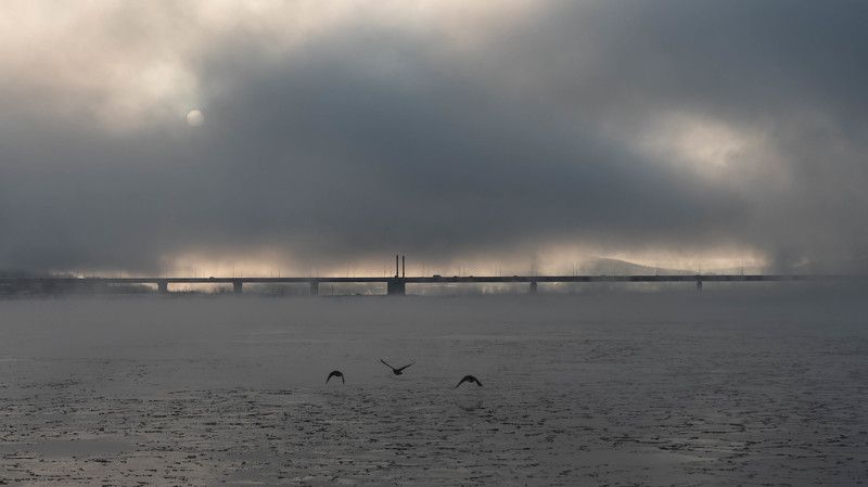 В туманеphoto preview