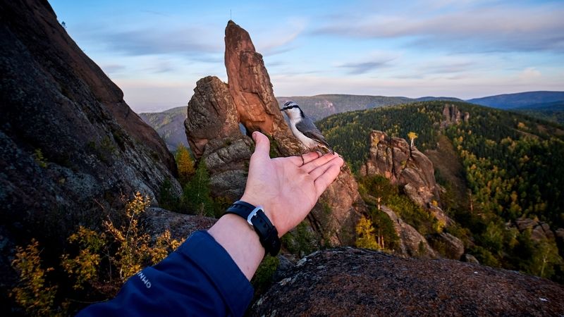 красноярские столбы, столбы, красноярск Пернатый другphoto preview