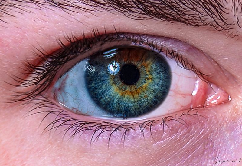 глаз. ресницы.радужная оболочка Глазphoto preview