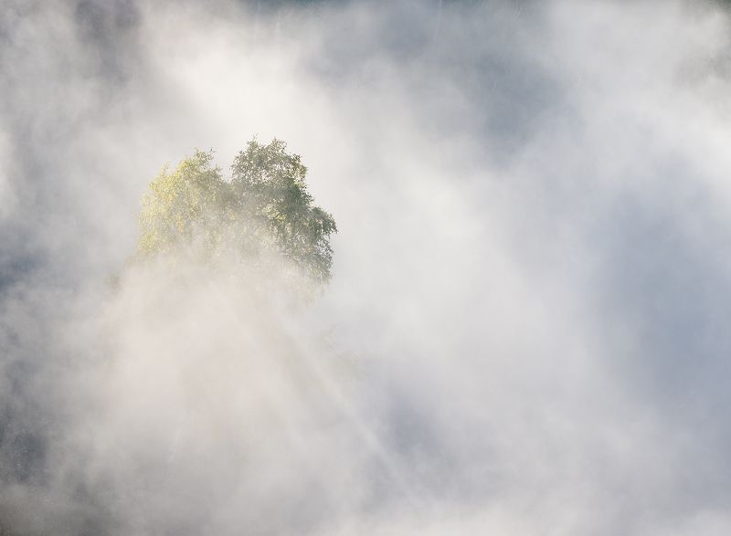 ...В туманном свете..photo preview