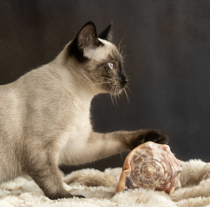 Моё фото превью