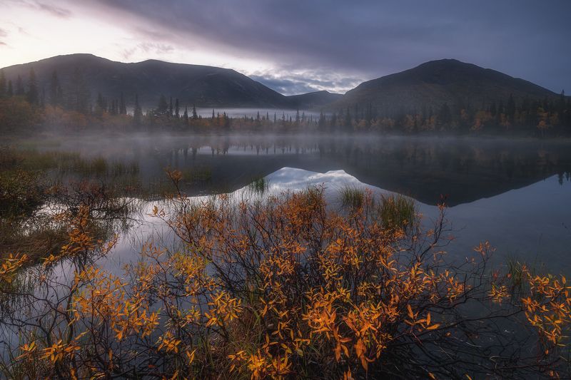 хибины озеро осень природа пейзаж россия кольский туман утро khibiny lake autumn nature landscape kola fog Осень на полигональных озерахphoto preview