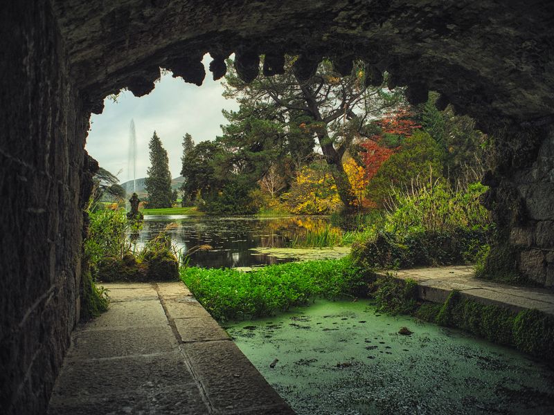 the lakephoto preview